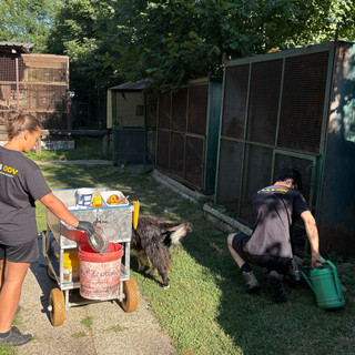 Volontari al lavoro al Cras di Bernezzo