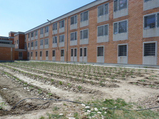 Carcere di Alba, detenuti forzano il cancello della sezione e feriscono sette agenti Carcere di Alba, detenuti forzano il cancello della sezione e feriscono sette agenti