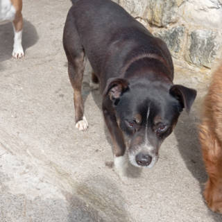 Lo sguardo tenero di Ciro