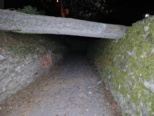 L'intervento dei Vigili del Fuoco a Costigliole Saluzzo