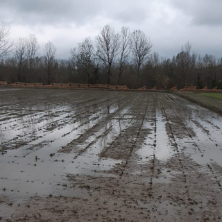 Coldiretti Piemonte: "Colture danneggiate da temporali e grandine, a rischio il lavoro dei produttori"
