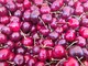 Cuscino del benessere con noccioli di ciliegia: un rimedio naturale contro i dolori