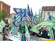 Nelle foto alcuni momenti della manifestazione tenuta in piazza Foro Boario