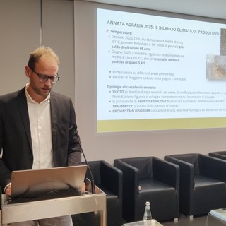 Ieri ad Alba l'incontro promosso, tra gli altri, da Camera di Commercio di Cuneo, Ente Fiera della Nocciola e Agrion. Nella foto Lorenzo Brigante, responsabile sezione corilicola Fondazione Agrion Ieri ad Alba l'incontro promosso, tra gli altri, da Camera di Commercio di Cuneo, Ente Fiera della Nocciola e Agrion. Nella foto Lorenzo Brigante, responsabile sezione corilicola Fondazione Agrion