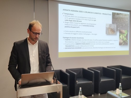 Ieri ad Alba l'incontro promosso, tra gli altri, da Camera di Commercio di Cuneo, Ente Fiera della Nocciola e Agrion. Nella foto Lorenzo Brigante, responsabile sezione corilicola Fondazione Agrion Ieri ad Alba l'incontro promosso, tra gli altri, da Camera di Commercio di Cuneo, Ente Fiera della Nocciola e Agrion. Nella foto Lorenzo Brigante, responsabile sezione corilicola Fondazione Agrion