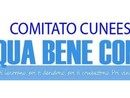 Il Comitato Cuneese Acqua Bene Comune replica a Dal Fabbro: "Iren si fa da parte?"