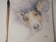 Disegno di Francesca Semeraro Disegno di Francesca Semeraro