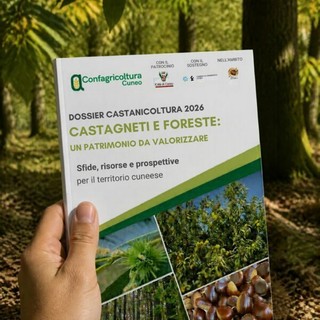 Cuneo, Confagricoltura presenta il Dossier castanicoltura 2026: per la prima volta anche il castagno nei boschi