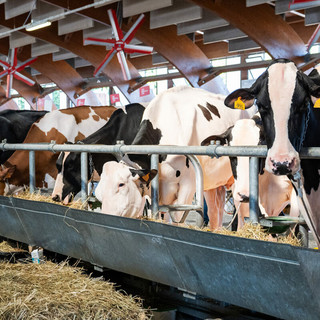Un convegno sull'uso dei droni chiude domani la Mostra della Meccanica agricola di Saluzzo