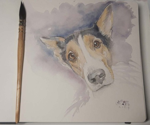 Disegno di Francesca Semeraro Disegno di Francesca Semeraro