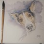 Disegno di Francesca Semeraro Disegno di Francesca Semeraro