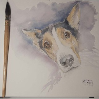 Disegno di Francesca Semeraro