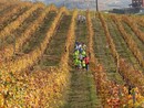 A Dogliani il primo “Cross in Vigna” tra sport e natura