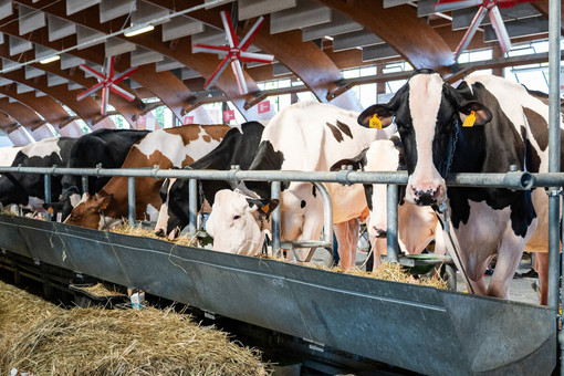 Un convegno sull'uso dei droni chiude domani la Mostra della Meccanica agricola di Saluzzo Un convegno sull'uso dei droni chiude domani la Mostra della Meccanica agricola di Saluzzo