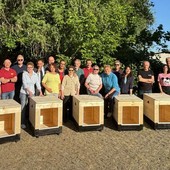 Un grande gesto d'amore per i nostri amici a quattro zampe