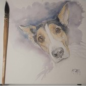 Disegno di Francesca Semeraro Disegno di Francesca Semeraro