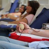 Da oggi le donazioni di sangue a Cuneo si prenotano con una app