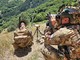 Team specializzato nel supporto aereo di diverse nazioni durante un'attività addestrativa congiunta Team specializzato nel supporto aereo di diverse nazioni durante un'attività addestrativa congiunta