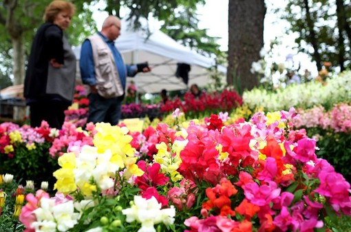 Domenica 10 maggio a Fossano è di scena Expoflora