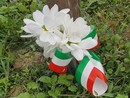 Guardia di Finanza di Bra: un fiore per non dimenticare i militari che non ci sono più Guardia di Finanza di Bra: un fiore per non dimenticare i militari che non ci sono più