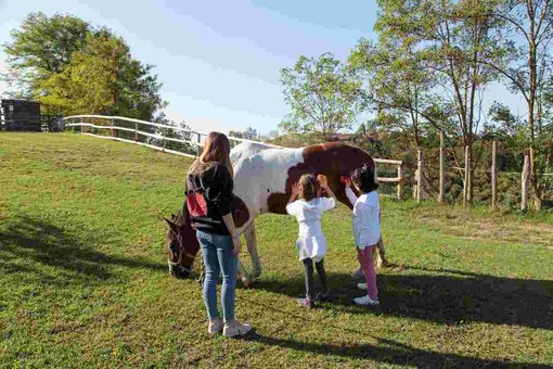 Un aiuto alle famiglie che hanno affrontato la malattia oncologica: a Govone il corso per nuovi volontari de La Collina degli Elfi Un aiuto alle famiglie che hanno affrontato la malattia oncologica: a Govone il corso per nuovi volontari de La Collina degli Elfi