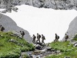 Movimento di un nucleo per il supporto aereo in ambiente montano durante l'esercitazione Movimento di un nucleo per il supporto aereo in ambiente montano durante l'esercitazione