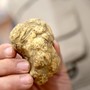 Tartufo e marroni, da Alba a Roccavione e Fossano dominano il week end della provincia di Cuneo Tartufo e marroni, da Alba a Roccavione e Fossano dominano il week end della provincia di Cuneo