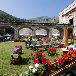 A Vinadio torna oggi l'appuntamento con Forte in Fiore