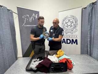 Ai controlli a Caselle spunta una testa di coccodrillo Ai controlli a Caselle spunta una testa di coccodrillo