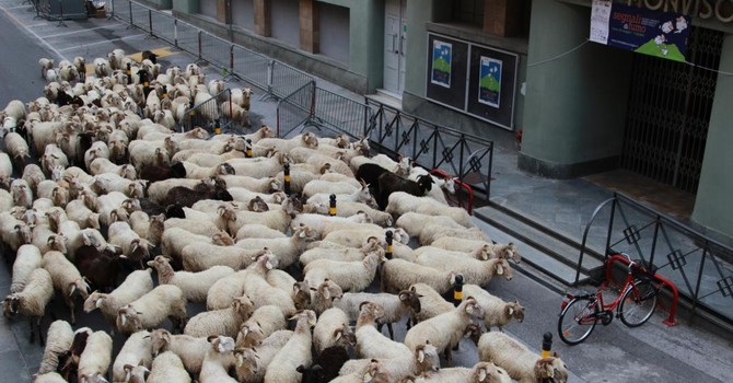 A Cuneo è il weekend del festival della Montagna