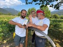 Da Dronero a Fontanafredda  la falce torna protagonista per ripensare il futuro del paesaggio e del vino