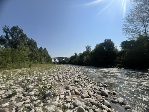 Siccità, il Piemonte avvia le procedure per le richieste dello stato di calamità Siccità, il Piemonte avvia le procedure per le richieste dello stato di calamità