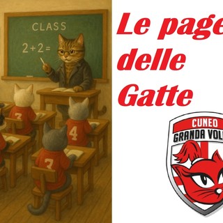 VOLLEY A1F / Honda Cuneo-Igor Novara 0-3; Le pagelle delle Gatte