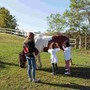 Un aiuto alle famiglie che hanno affrontato la malattia oncologica: a Govone il corso per nuovi volontari de La Collina degli Elfi Un aiuto alle famiglie che hanno affrontato la malattia oncologica: a Govone il corso per nuovi volontari de La Collina degli Elfi