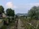 La tratta ferroviaria che unisce Alba e Asti (archivio)
