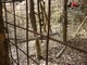 Aveva installato gabbie illecite per la cattura di cinghiali: segnalato dai forestali di Cortemilia un 76enne valbormidese