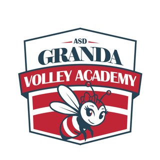 PALLAVOLO / Asd Granda Volley Academy presenta la nuova identità: l'ape, simbolo di una comunità che cresce insieme PALLAVOLO / Asd Granda Volley Academy presenta la nuova identità: l'ape, simbolo di una comunità che cresce insieme