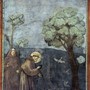 Predica agli uccelli, affresco di Giotto, Basilica superiore di Assisi