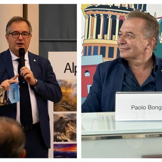 Castanicoltura, la Regione Piemonte: “Pronti ad aprire un confronto tecnico”