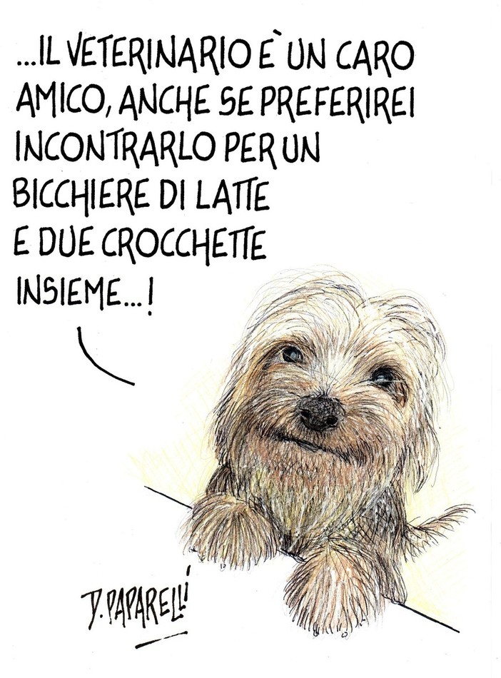 La vignetta di Paparelli per la giornata internazionale del cane