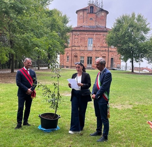 Bra e Lezhë, un’amicizia che mette radici: donato un albero per il gemellaggio Bra e Lezhë, un’amicizia che mette radici: donato un albero per il gemellaggio