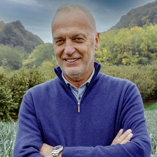 Crediti di carbonio forestali, Bergesio (Lega): &quot;Riconosciuto il ruolo cruciale dei boschi&quot;