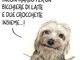 La vignetta di Paparelli per la giornata internazionale del cane La vignetta di Paparelli per la giornata internazionale del cane