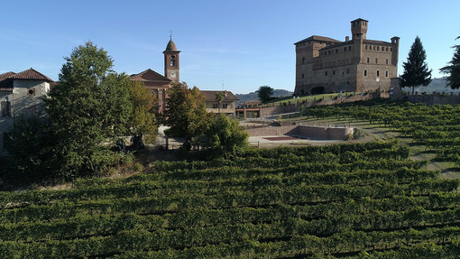 Sostenibilità o “Sostemibilità” nel settore vitivinicolo: se ne parla al castello di Grinzane Cavour