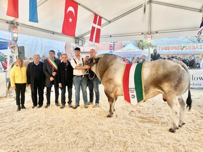 Gin Tonic il campione assoluto della 45esima Mostra Nazionale della Razza Bovina Piemontese di Fossano Gin Tonic il campione assoluto della 45esima Mostra Nazionale della Razza Bovina Piemontese di Fossano