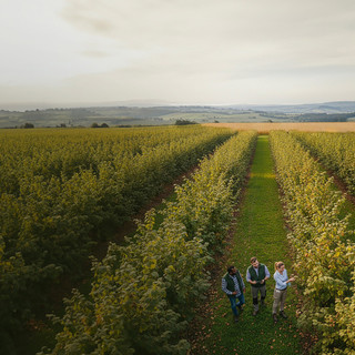 Al via l’"Hazelnut Agronomy Program" promosso dal gruppo albese insieme a Eiis e Conaf Al via l’"Hazelnut Agronomy Program" promosso dal gruppo albese insieme a Eiis e Conaf