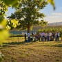 Al via le iscrizioni per l'Hazelnut Agronomy Program Al via le iscrizioni per l'Hazelnut Agronomy Program
