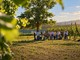 Al via le iscrizioni per l'Hazelnut Agronomy Program Al via le iscrizioni per l'Hazelnut Agronomy Program