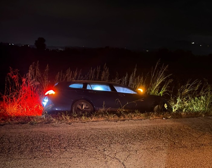 L'auto finita fuori strada dopo l'investimento dei cinghiali L'auto finita fuori strada dopo l'investimento dei cinghiali