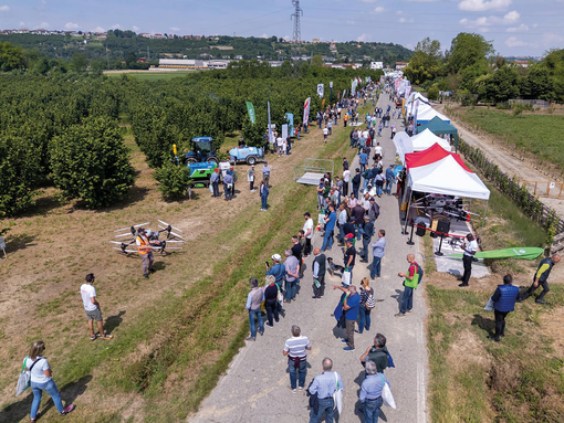 Espositori, dimostrazioni pratiche e convegni: torna a Cherasco “Il nocciolo – Prove in campo”